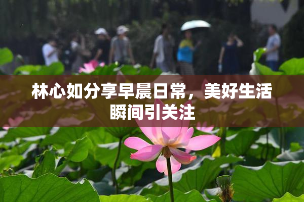 林心如分享早晨日常，美好生活瞬间引关注