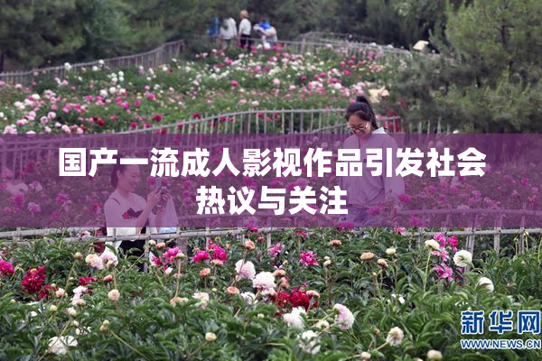 国产一流成人影视作品引发社会热议与关注