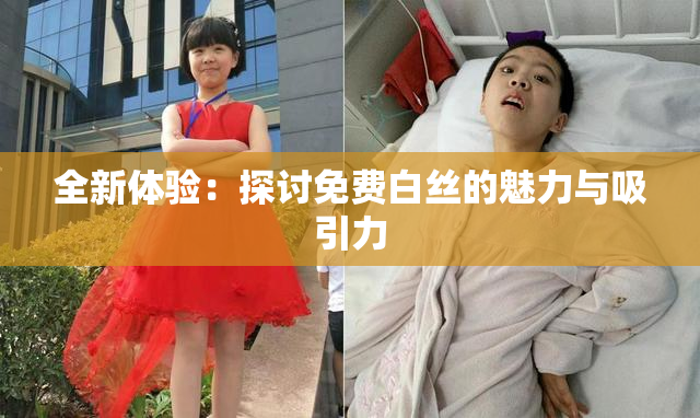 全新体验：探讨免费白丝的魅力与吸引力