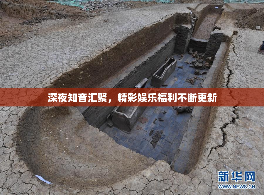 深夜知音汇聚，精彩娱乐福利不断更新
