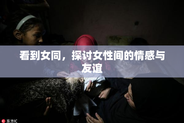看到女同，探讨女性间的情感与友谊