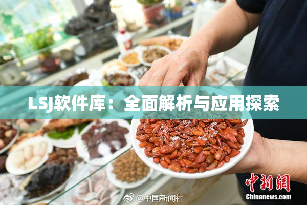 LSJ软件库：全面解析与应用探索