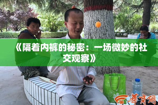 《隔着内裤的秘密：一场微妙的社交观察》
