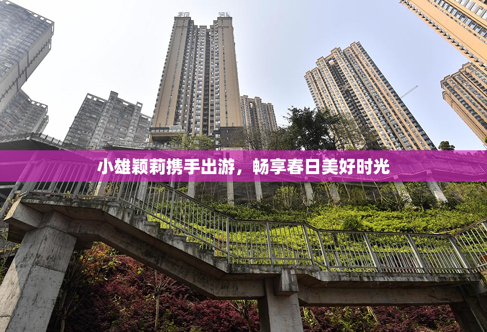 小雄颖莉携手出游，畅享春日美好时光