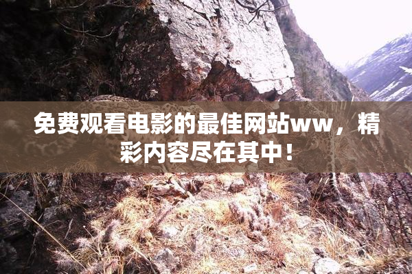 免费观看电影的最佳网站ww，精彩内容尽在其中！