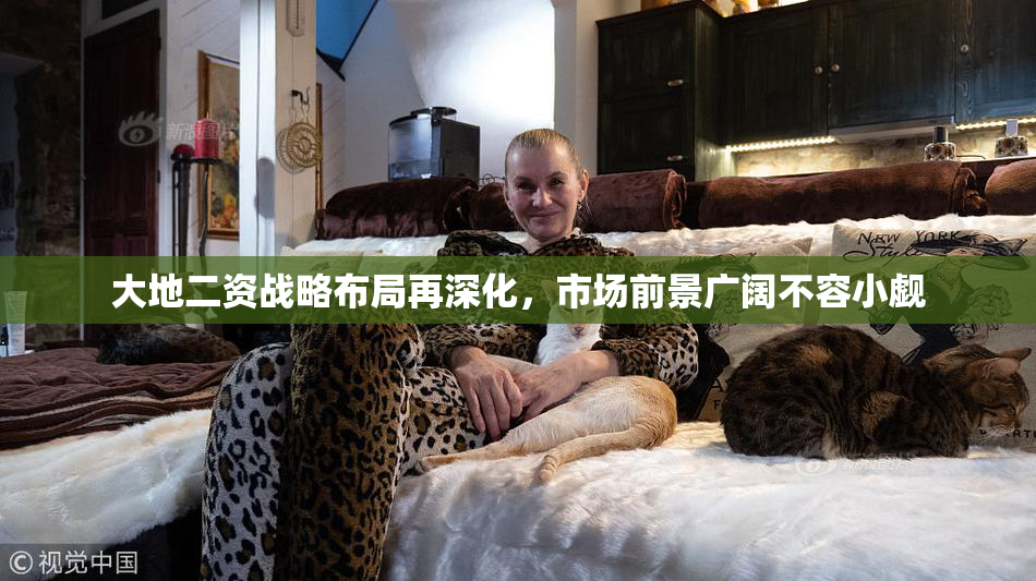 大地二资战略布局再深化，市场前景广阔不容小觑