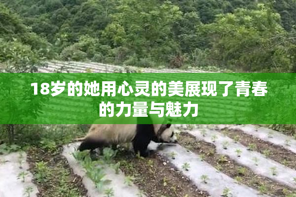 18岁的她用心灵的美展现了青春的力量与魅力