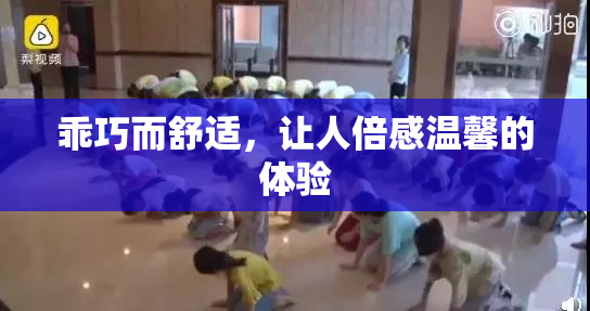 乖巧而舒适，让人倍感温馨的体验