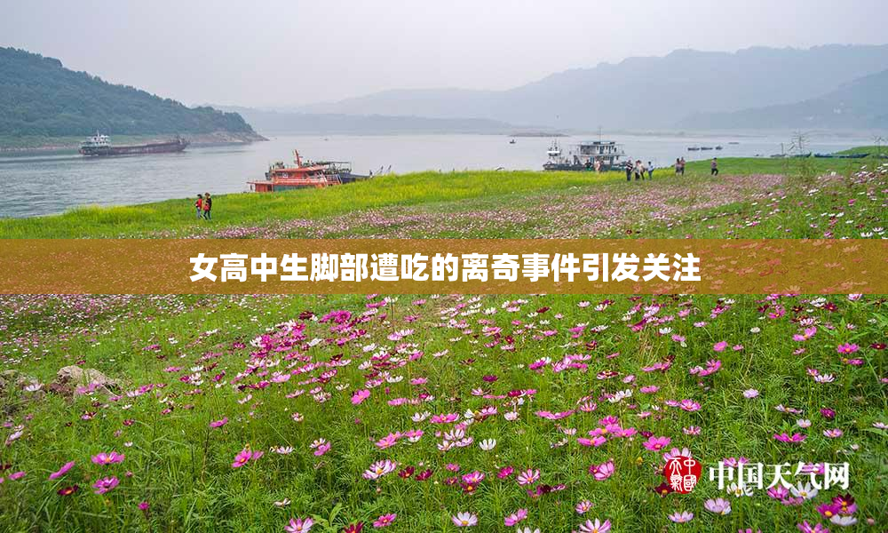 女高中生脚部遭吃的离奇事件引发关注