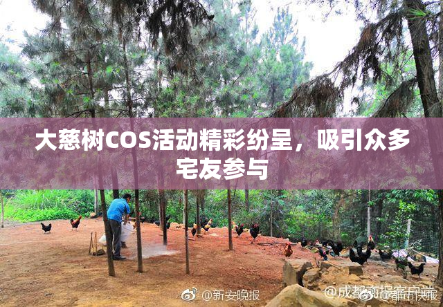 大慈树COS活动精彩纷呈，吸引众多宅友参与