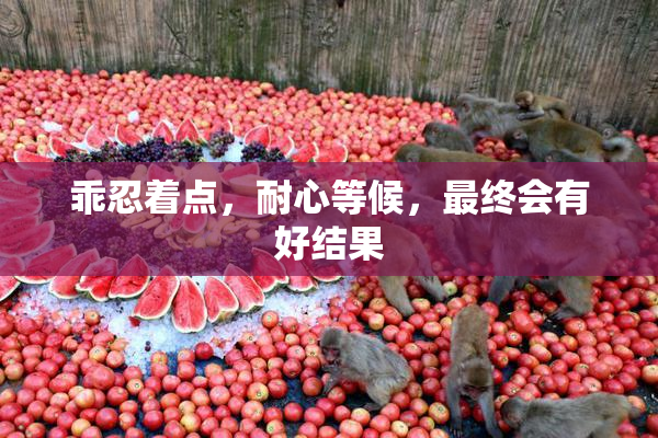 乖忍着点，耐心等候，最终会有好结果