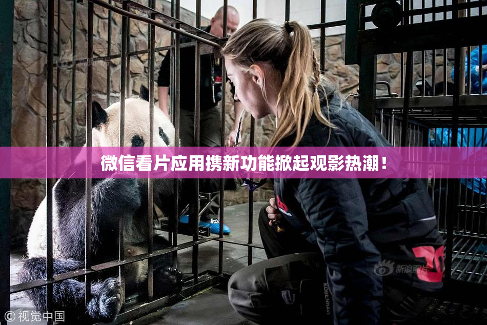 微信看片应用携新功能掀起观影热潮！