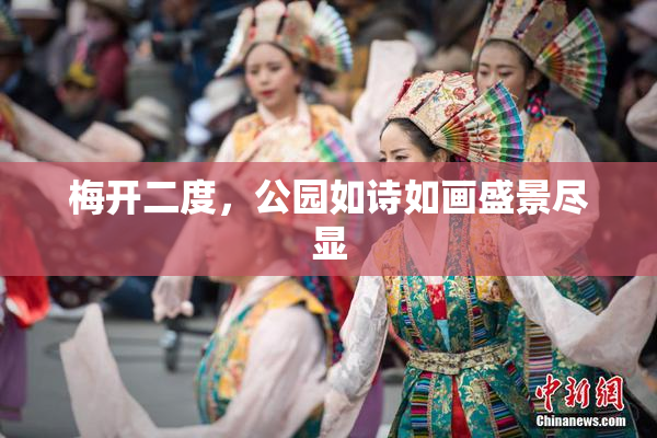 梅开二度，公园如诗如画盛景尽显