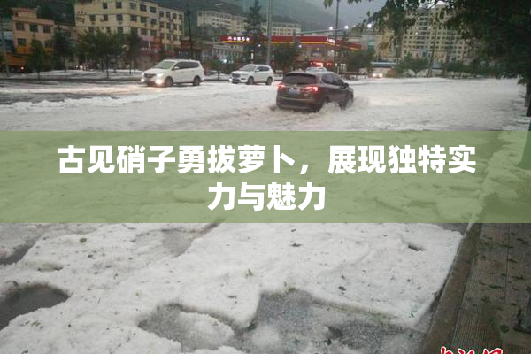 古见硝子勇拔萝卜，展现独特实力与魅力