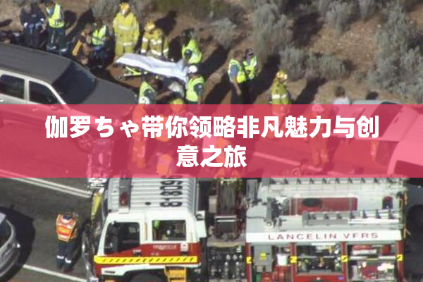 伽罗ちゃ带你领略非凡魅力与创意之旅