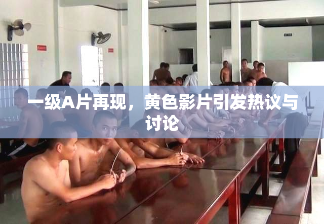 一级A片再现，黄色影片引发热议与讨论