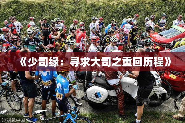 《少司缘：寻求大司之重回历程》