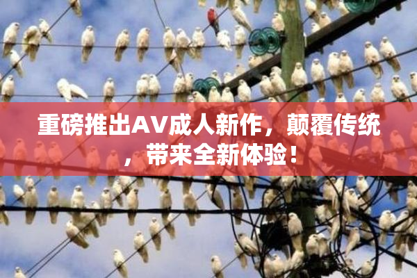 重磅推出AV成人新作，颠覆传统，带来全新体验！