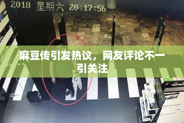 麻豆传引发热议，网友评论不一引关注