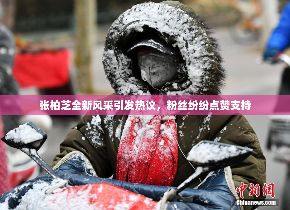 张柏芝全新风采引发热议，粉丝纷纷点赞支持
