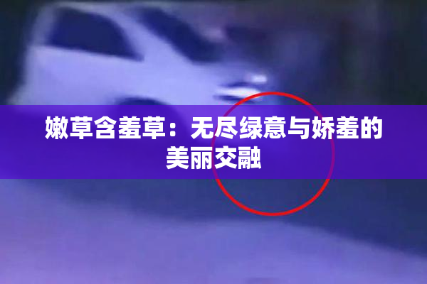 嫩草含羞草：无尽绿意与娇羞的美丽交融