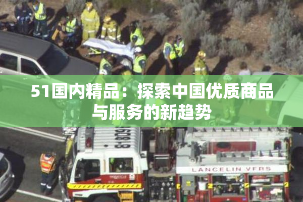 51国内精品：探索中国优质商品与服务的新趋势