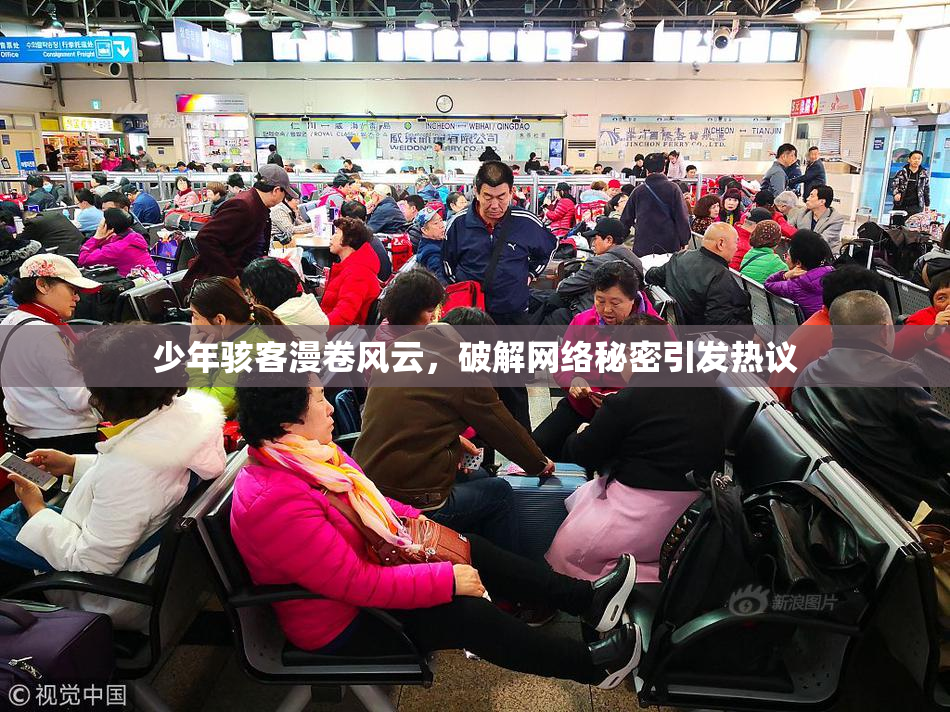 少年骇客漫卷风云，破解网络秘密引发热议