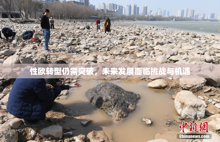 性欧转型仍需突破，未来发展面临挑战与机遇