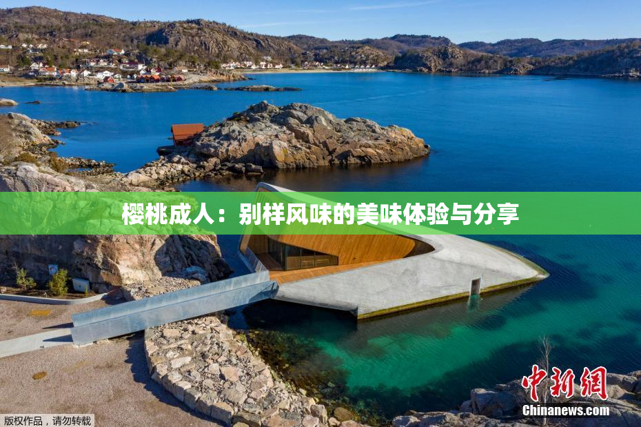 樱桃成人：别样风味的美味体验与分享