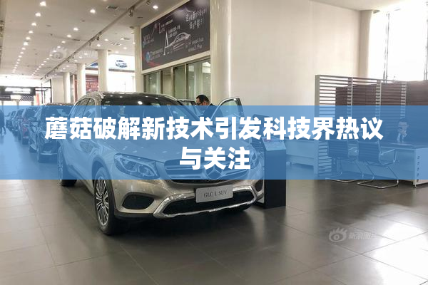 蘑菇破解新技术引发科技界热议与关注