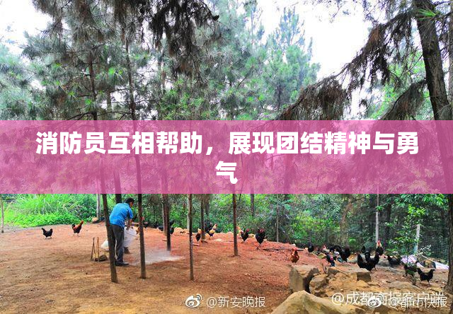 消防员互相帮助，展现团结精神与勇气