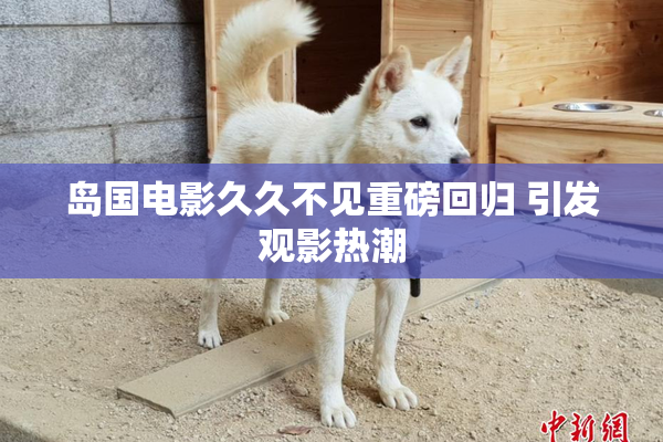 岛国电影久久不见重磅回归 引发观影热潮