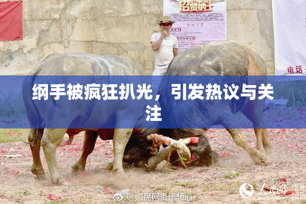 纲手被疯狂扒光，引发热议与关注