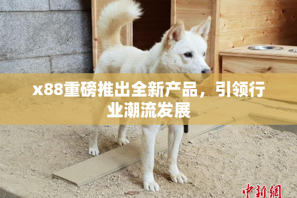x88重磅推出全新产品，引领行业潮流发展