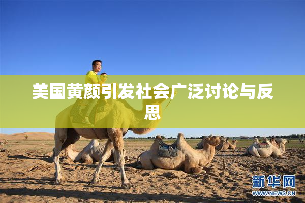美国黄颜引发社会广泛讨论与反思