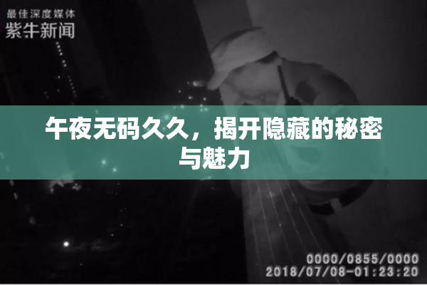 午夜无码久久，揭开隐藏的秘密与魅力