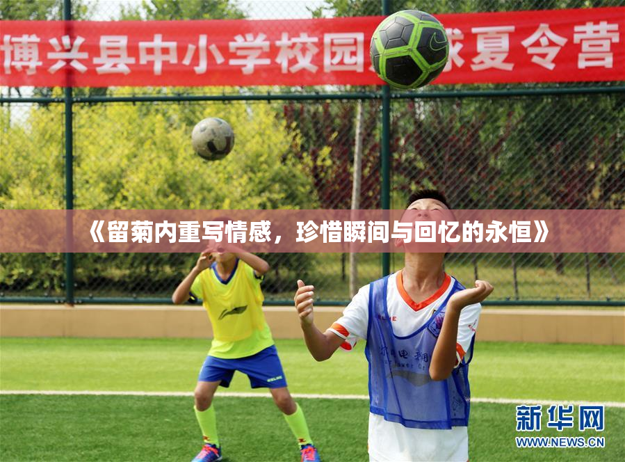 《留菊内重写情感，珍惜瞬间与回忆的永恒》