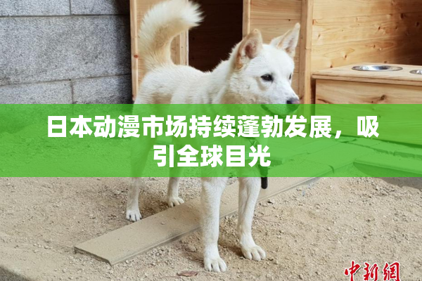 日本动漫市场持续蓬勃发展，吸引全球目光