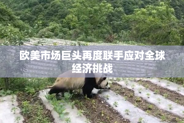 欧美市场巨头再度联手应对全球经济挑战