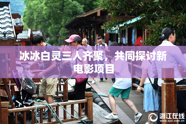冰冰白灵三人齐聚，共同探讨新电影项目