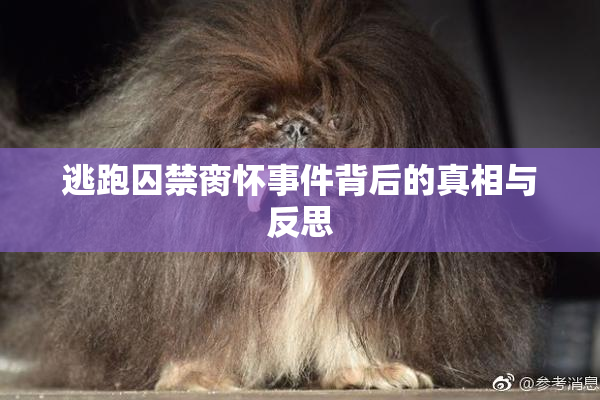 逃跑囚禁脔怀事件背后的真相与反思