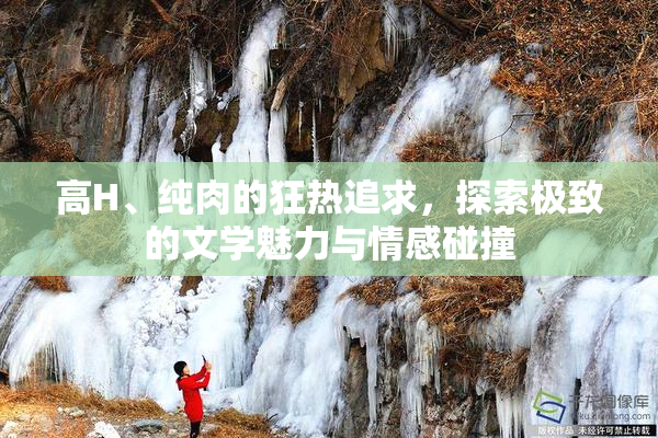 高H、纯肉的狂热追求，探索极致的文学魅力与情感碰撞