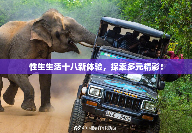 性生生活十八新体验，探索多元精彩！