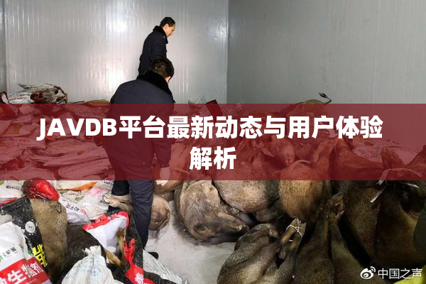 JAVDB平台最新动态与用户体验解析