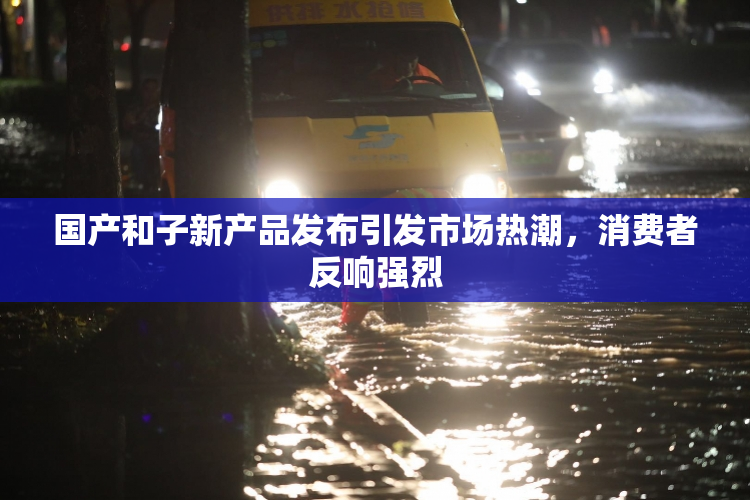国产和子新产品发布引发市场热潮，消费者反响强烈