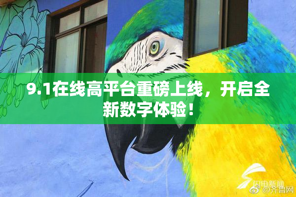 9.1在线高平台重磅上线，开启全新数字体验！