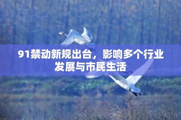 91禁动新规出台，影响多个行业发展与市民生活