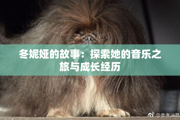冬妮娅的故事：探索她的音乐之旅与成长经历