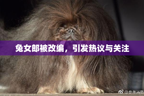 兔女郎被改编，引发热议与关注