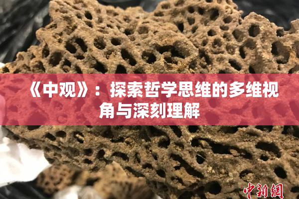 《中观》：探索哲学思维的多维视角与深刻理解